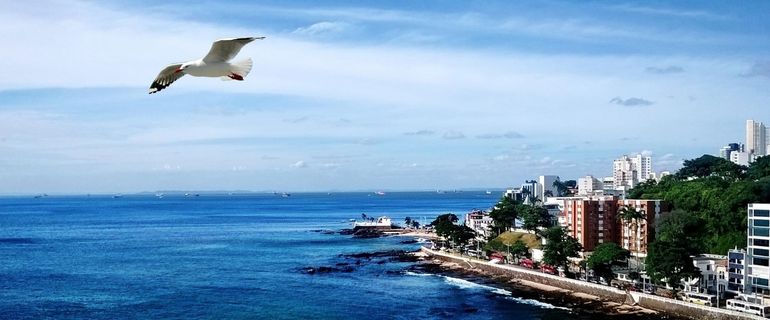 Salvador Brasil